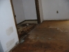 Dry Rot Repairs