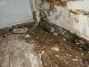 Dry Rot Repairs