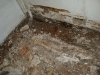 Dry Rot Repairs